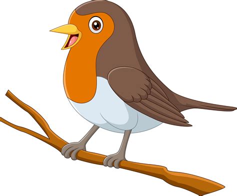 Robin Bird Vector Art Icons And Graphics For Free Download