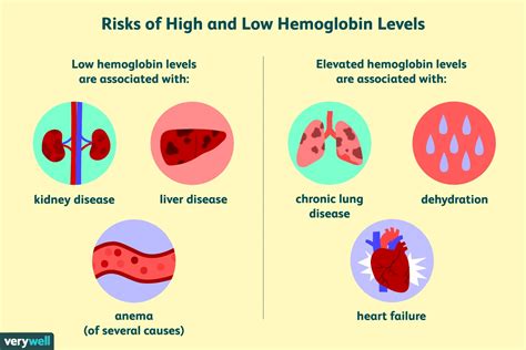 It is necessary to prepare rosehip infusion tea. Hemoglobin Count: Low And High Hemoglobin Count | Healthdarts