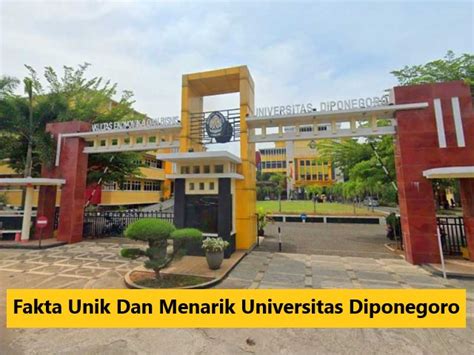 Fakta Unik Dan Menarik Universitas Diponegoro Maranathauniversity