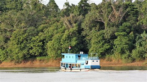 Mahakam River Rainforest Tour To Cruise Borneo S Jungle And Dayak Culture