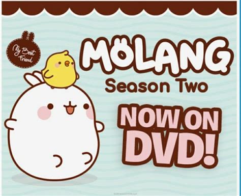 Review Of Molang Season 2 Dvd Prize Pack Giveaway Cats In The