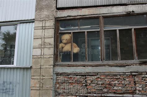 113 Isolation Old Young Window Photos Free And Royalty Free Stock