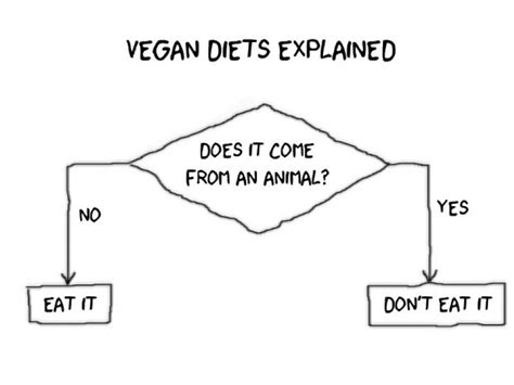 vegan diet explained vegans uk