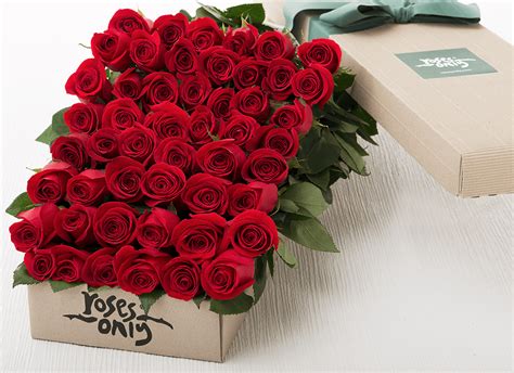 Check spelling or type a new query. 48 Red Roses Gift Box | Roses Only