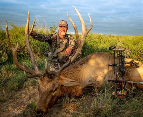New Mexico Elk Hunt Guaranteed Tags Top End Adventures