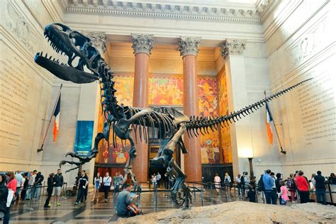 5 Museums To Check Out In Nyc Eventcombo