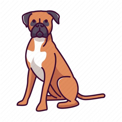 Boxer Dog Illustration Transparent Png Svg Vector File Images
