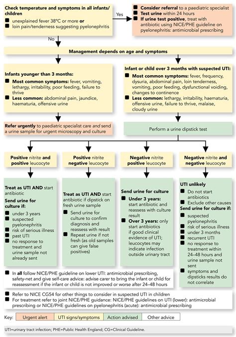 Urinary Tract Infection Diagnosis