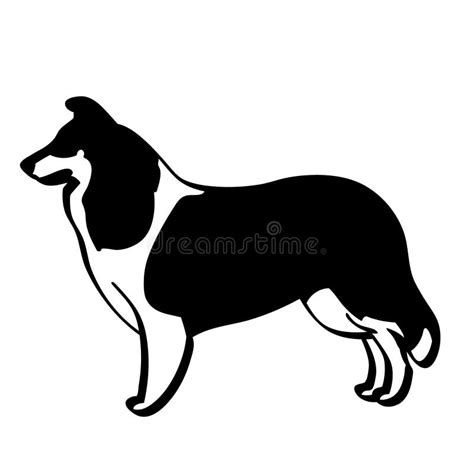 Scotch Collie Dog Vector Hand Drawn Vector Eps Logo Icon