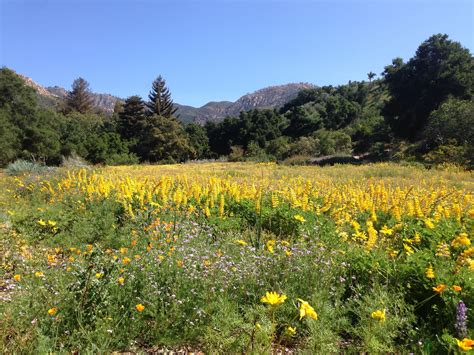 Best Dining Room Ideas – Designer Dining Rooms & Decor: Santa Barbara