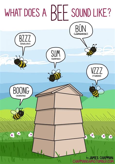Sounds Bees Make In Different Languages Bilingual Kidspot