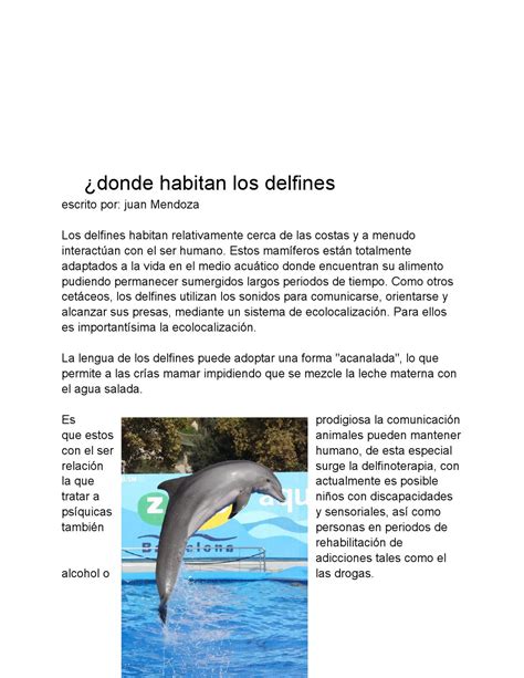 Delfines By Rutaninos Issuu