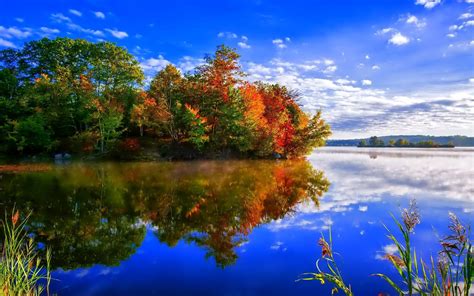 Autumn Tree Reflection Hd Wallpaper Background Image