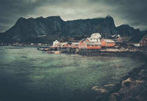 Houses In Reine Village Norway Stock Image Image Of Cottage Home