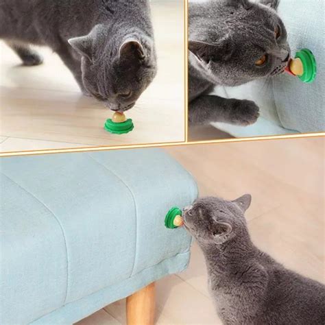 lickety lick cat treats cat snacks kitten toys cats