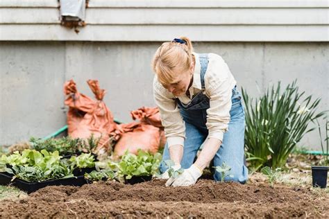 Jardinage Pour Seniors Des Services Sur Mesure Pour Un Jardin Fleuri