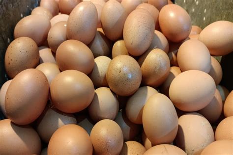 Jelang Ramadan Harga Telur Ayam Di Pasar Jakarta Tembus Rp30000 Per Kg