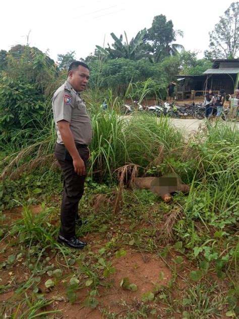 Polisi Masih Selidiki Identitas Mayat Mr X Yang Ditemukan Di Desa