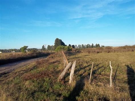 Campo En Venta En Concepción Del Uruguay Uruguay Entre Ríos