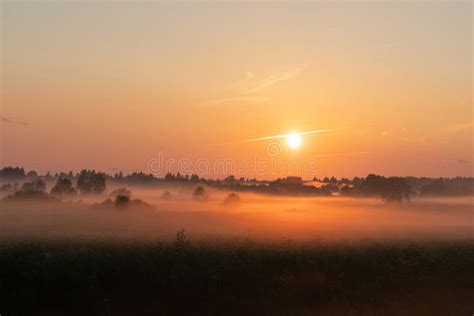 Beautiful Summer Sunset In The Field Stock Photo Image Of Morning