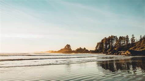Pocket Guide To Tofino Vancouver Islands Remote Surf Town The