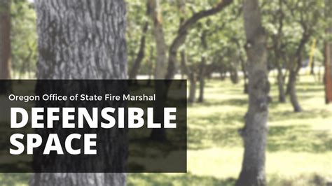 What Is Defensible Space Oregon State Fire Marshal