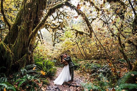 Hoh Rainforest Elopement The Foxes Photography 🦊