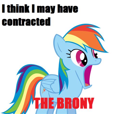 Brony Contraction My Little Pony Friendship Is Magic Know Your Meme