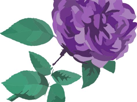 Download Purple Rose Clipart Transparent Background Clip Art Full
