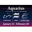 Aquarius May Horoscope From Love To Money  Whats In Store For Your