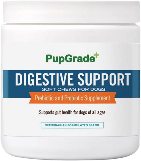 Buy Pupgrade Digestive Support Chews For Dogs Upset Stomach Diarrhea