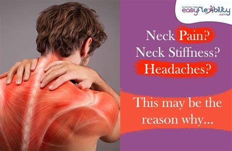 Neck Pain Neck Stiffness Headaches This May Be The Reason Why