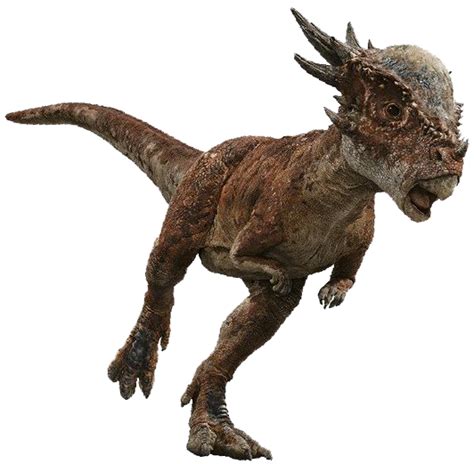 Image Stygimoloch 1png Wikia Jurassic Park Fandom Powered By Wikia