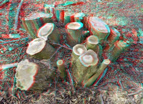 Stronk In Anaglyph Anaglyph Stereo Redcyan Wim Hoppenbrouwers Flickr