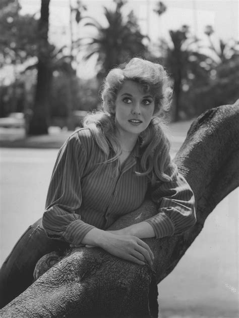 Donna Douglas Elly Mae Clampett On The Beverly Hillbillies Melted
