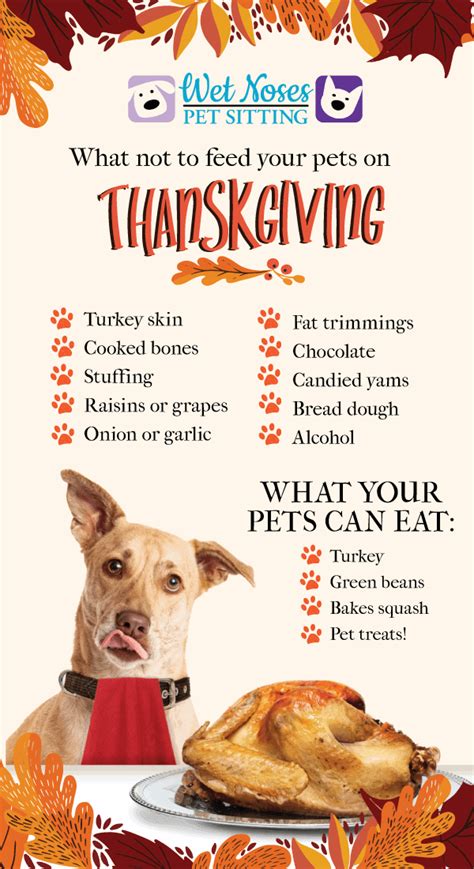 Thanksgiving Pet Food Wet Noses Pet Sitting