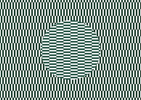 Ouchi Illusion Amazing Optical Illusions 3d Optical Illusions