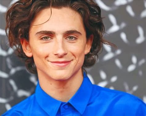 Actor Timothee Chalamet Paint By Numbers Numeral Paint Kit