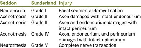Sunderland's classification specifies five degrees of nerve damage. Seddon and Sunderland classification of nerve injury ...
