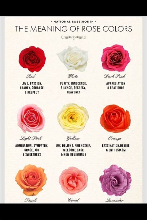 Here's a great tip for you guys: Things and its meanings | Rose color meanings, Flower ...