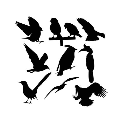 Bird Silhouette Vector Illustration 13672421 Vector Art At Vecteezy