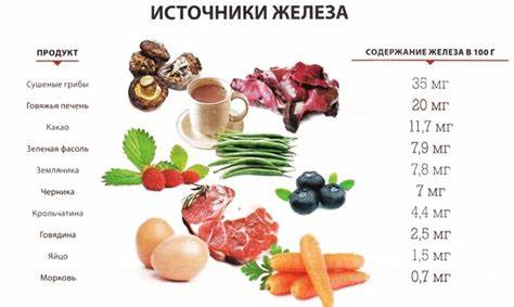 Железодефицитная анемия диета какая Профилактика железодефицитных анемий Профилактика железодефицитных анемий Железодефицитная анемия диета какая