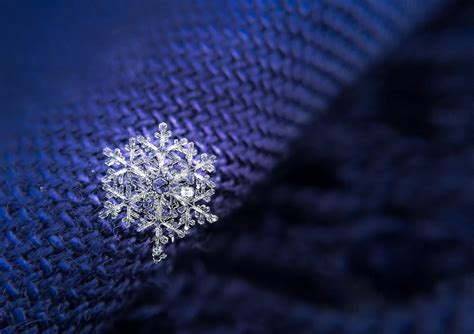 How To Take Macro Pictures Of Beautiful Snowflakes