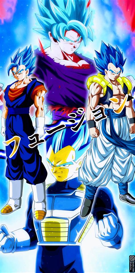 Goku And Vegeta Fusion Dragon Ball Super Dragon Ball Gt Dragon Z