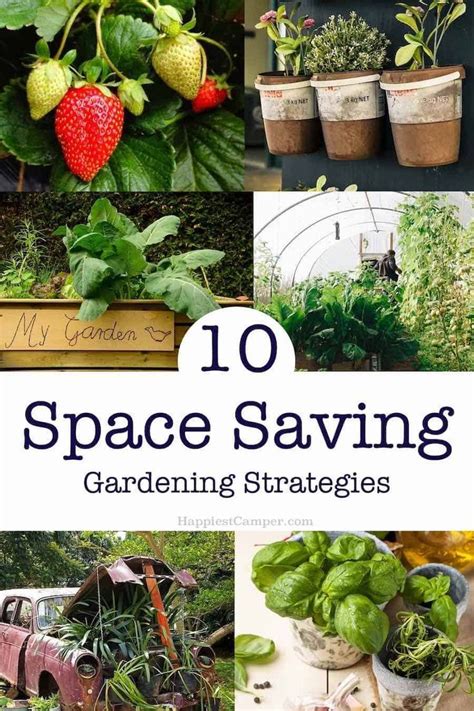 10 Space Saving Gardening Strategies That Will Have You A Picking Your