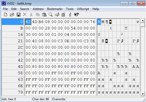 Chachik How The Bmp Bitmap Image Looks From The Inside In Binary