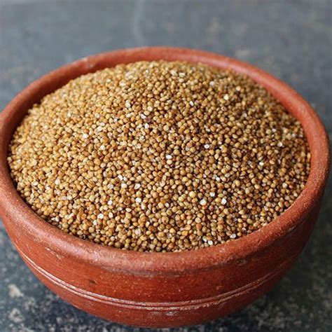 Millet India Dehusked Kodo Millet Rs 55 Kilogram South Indian Grains Corporation Id