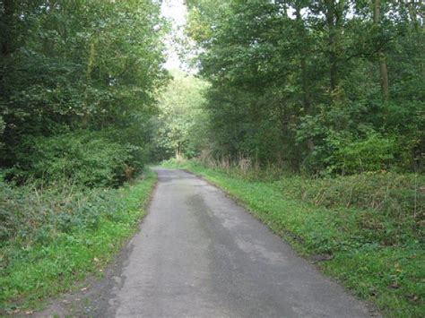 The Road Through Bossall Wood © Roger Gilbertson Cc By Sa20