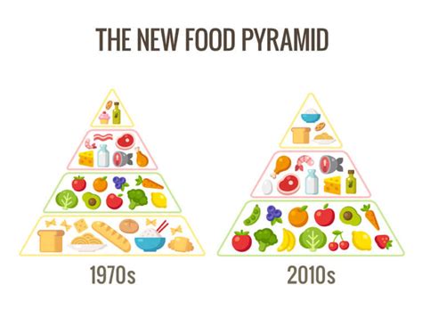 Amazing How Food Science Has Changed In 50 Years The Entire Foundation