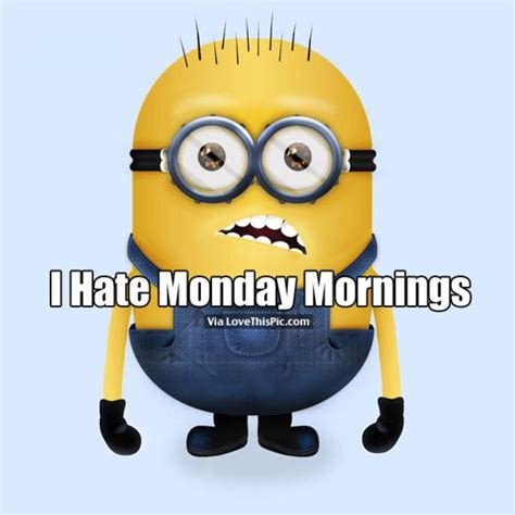 50 Funny Monday Quotes Monday Humor Quotes Happy Monday Quotes